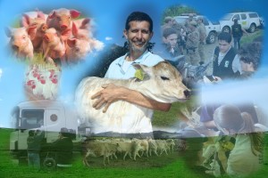 Defesa Sanitária Animal