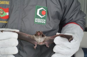 Foto: ASCOM/CIDASC