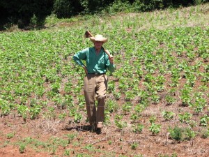Cezar Mario Rech - Agricultor Tefé\u002DAM 