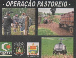 Foto: Polícia Civil/Divulgação