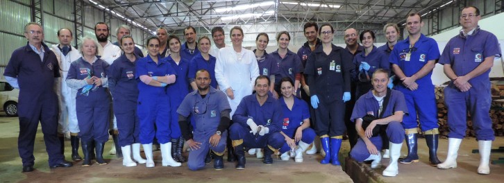 Foto: GEDSA/CIDASC