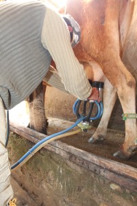 Foto: ASCOM/CIDASC