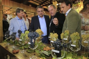 Foto: Julio Cavalheiro/Secom/Divulgação