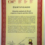 Créditos: Julio Cavalheiro/Secom