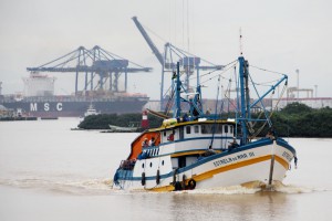 pesca