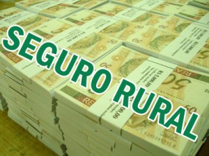 seguro rural