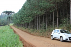 Foto: ADR de Videria