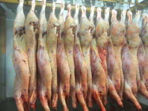 Foto: Companhia Integrada de Desenvolvimento Agrícola de SC
