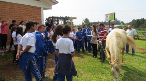 Foto: ADR de Campos Novos