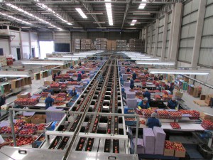 Foto: Administração  Regional de São Joaquim.