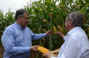 Foto: Divulgação/ Moacir Sopelsa