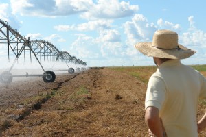  Atlas poderá ser ferramenta para expandir área irrigada (Barbosa de Menezes/Embrapa) 