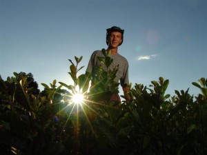 Foto: Ministério do Desenvolvimento Agrário