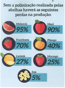 Fonte: Revista CFMV