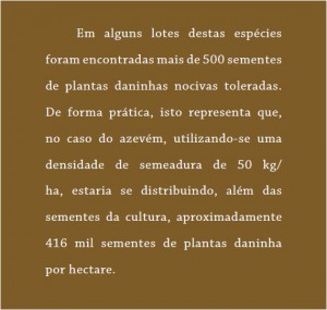 revista