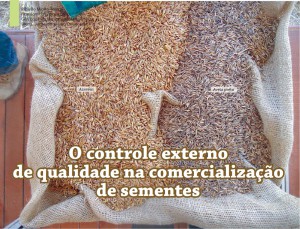Foto: Revista SEEnews