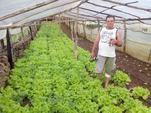 Foto: Correio  dos Lagos