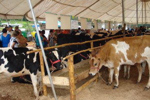Foto: Departamento Regional de Concórdia