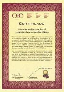 certificado inteira