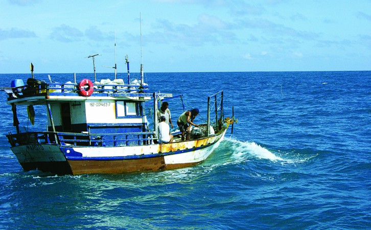Licença é fundamental para o exercício da pesca profissional (Arquivo/Mapa)