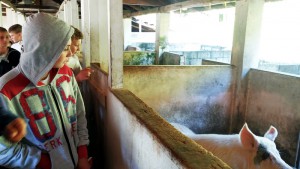 Foto: Departamento Regional de Rio do Sul