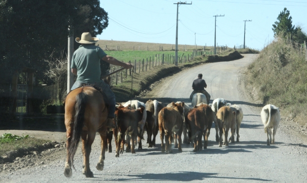 cidasc-sc-curso-programa-sc-rural-jovens-empreendedores-foto-james-tavares-secom-5