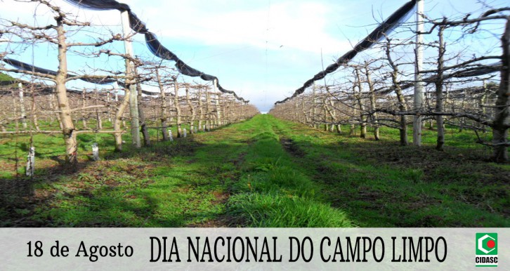 Arte: Ascom/Cidasc
