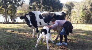 Foto: Juçara Mills