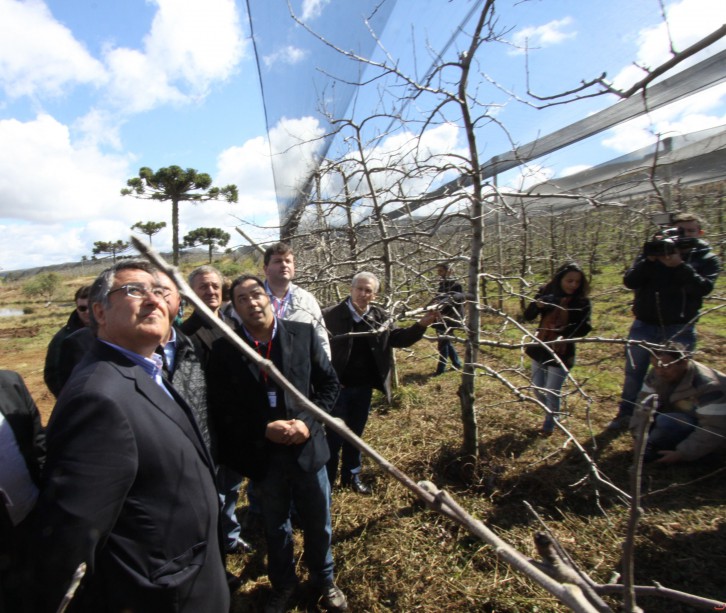 Foto: James Tavares / Secom