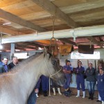 Foto: Departamento Regional da Cidasc de Campos Novos