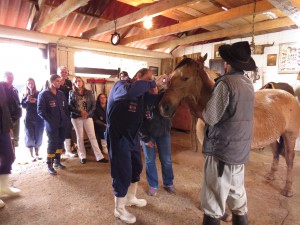 Foto: Departamento Regional da Cidasc de Campos Novos
