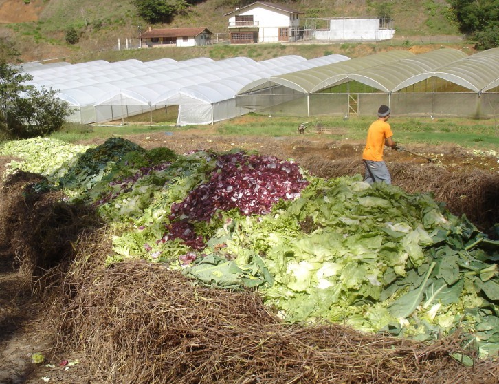 Foto: Embrapa
