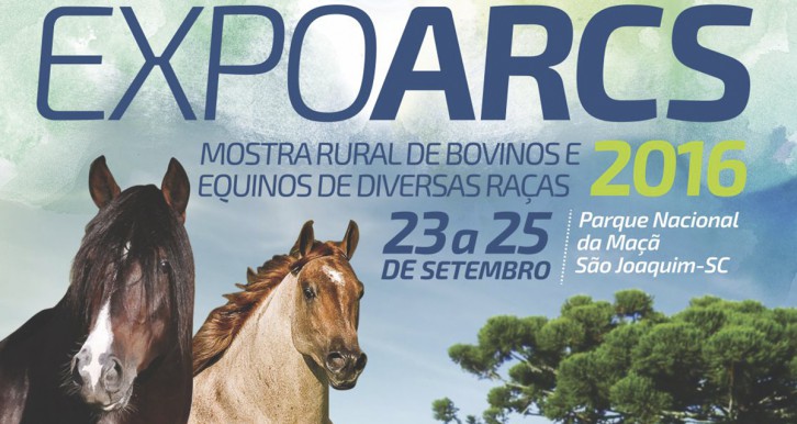 Divulgação Evento