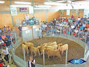 Foto: Divulgação Evento
