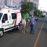 Foto: Departamento Regional da Cidasc de São Miguel do Oeste
