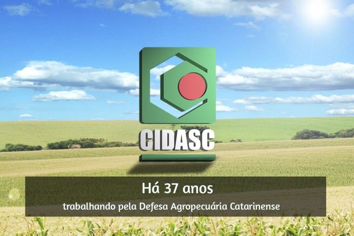 Arte: Ascom/Cidasc