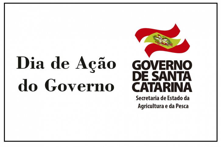 dia de acao governo estado