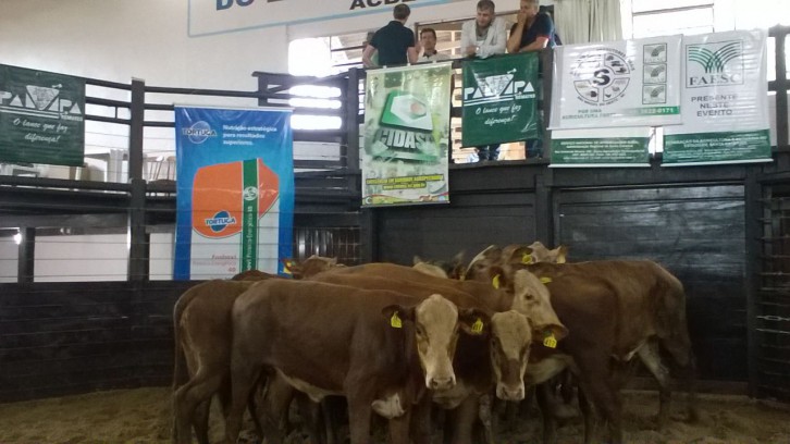 Foto: Departamento Regional da Cidasc de São Miguel do Oeste