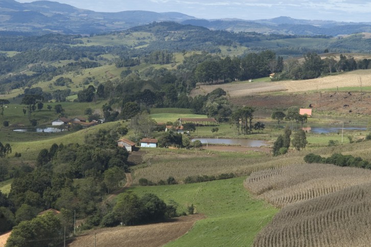 Foto: Aires Mariga / Epagri