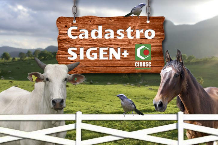 Arte: Ascom/Cidasc