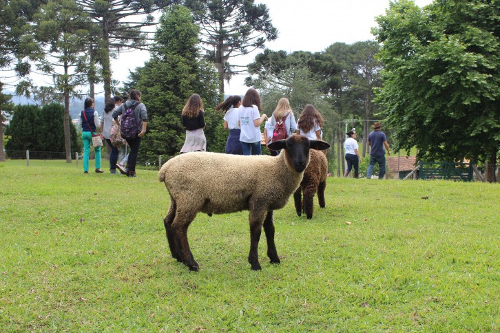 Foto: Departamento Regional da Cidasc de Mafra