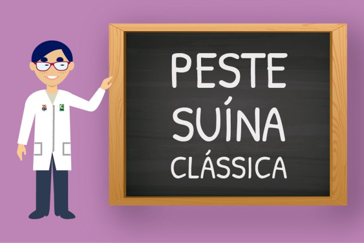 Arte: Ascom/ Cidasc