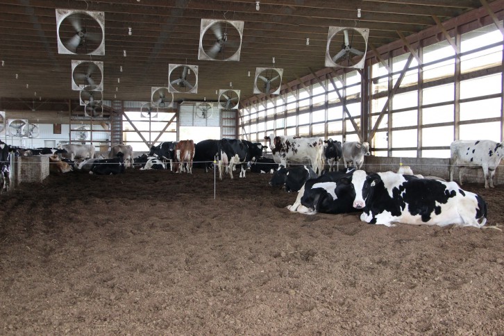 Foto: Farm and Dairy 