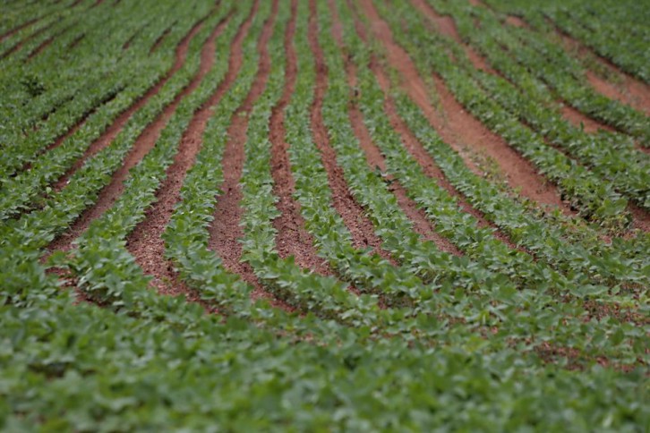 Foto: Albari Rosa/Gazeta do Povo