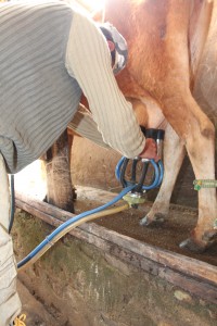Foto: Ascom/Cidasc